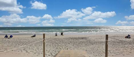 Playa en los alrededores