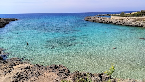 A coastal scene with clear turquoise water, rocky shorelines, and sparse vegetation. - CASA CICCONE CARDONE , trulli with Jacuzzi  and private parking lot  (Locorotondo)