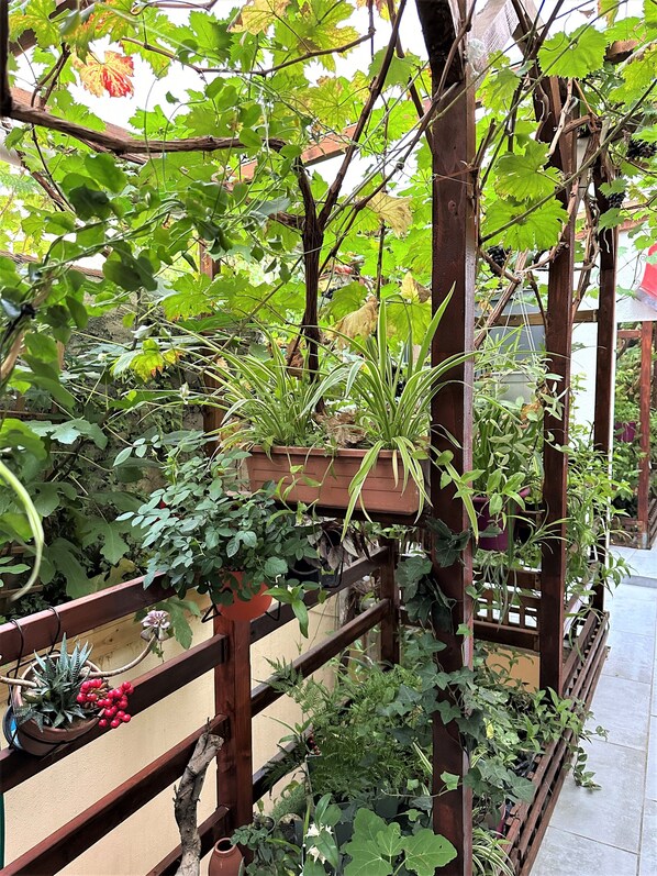 Een houten pergola met klimplanten en bloempotten.