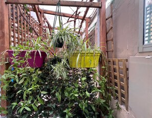 Een houten trellisconstructie met potplanten.