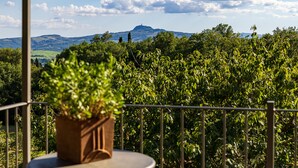 Ein Balkon mit einem Blumentopf, einem Metallgeländer und Blick auf einen Weinberg und ferne Hügel.