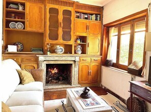 Smart TV, fireplace, books