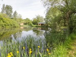Cottage | Property grounds - Willow (Rugby)