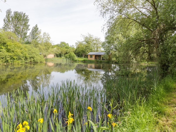 Willow - Warwickshire