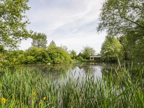 コテージ | 施設の敷地