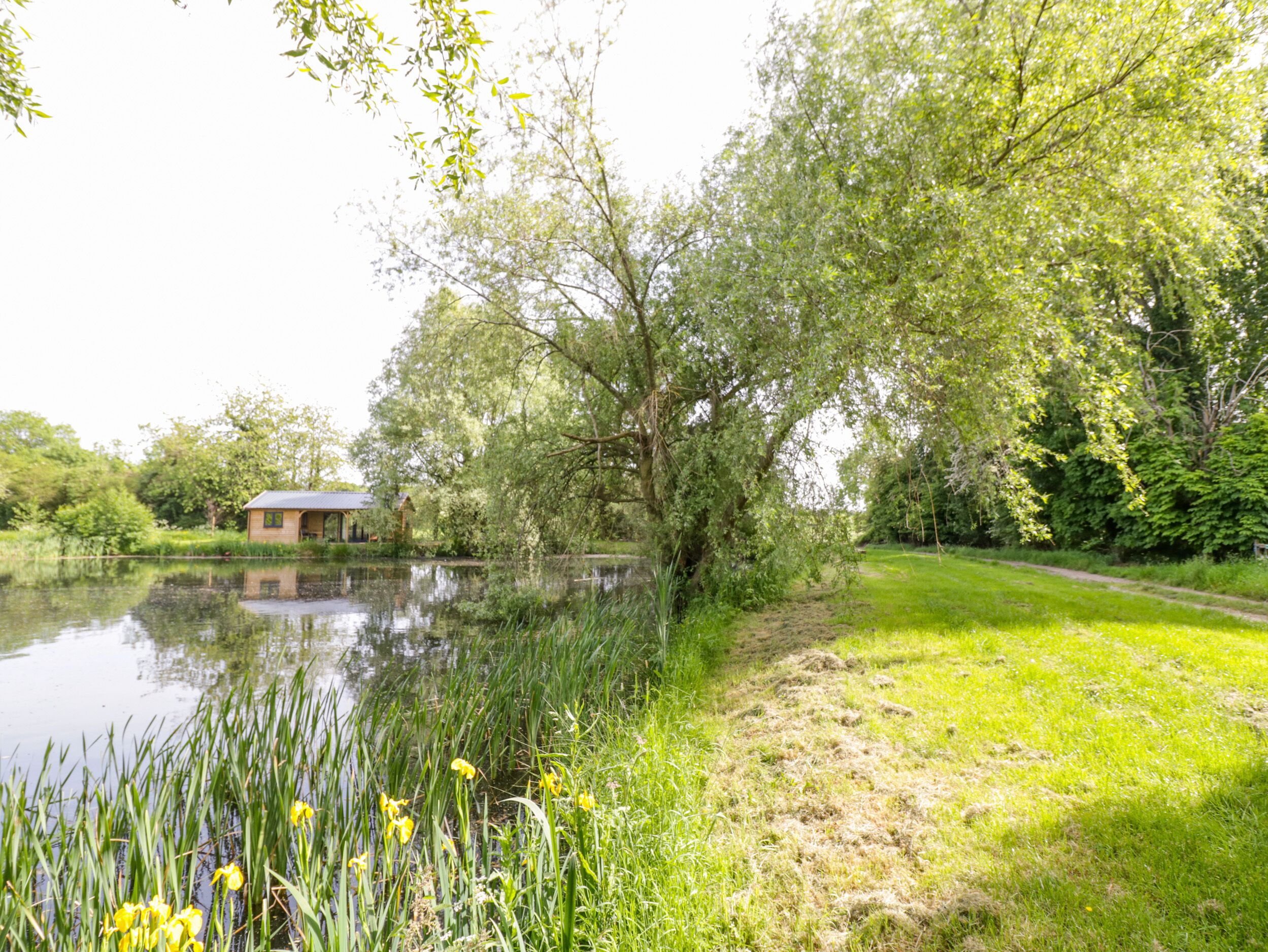Un paysage paisible au bord d’un lac, avec un petit bâtiment, une végétation luxuriante et un sentier herbeux.