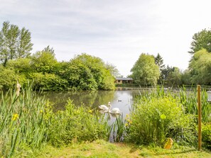 Cottage | Parco della struttura