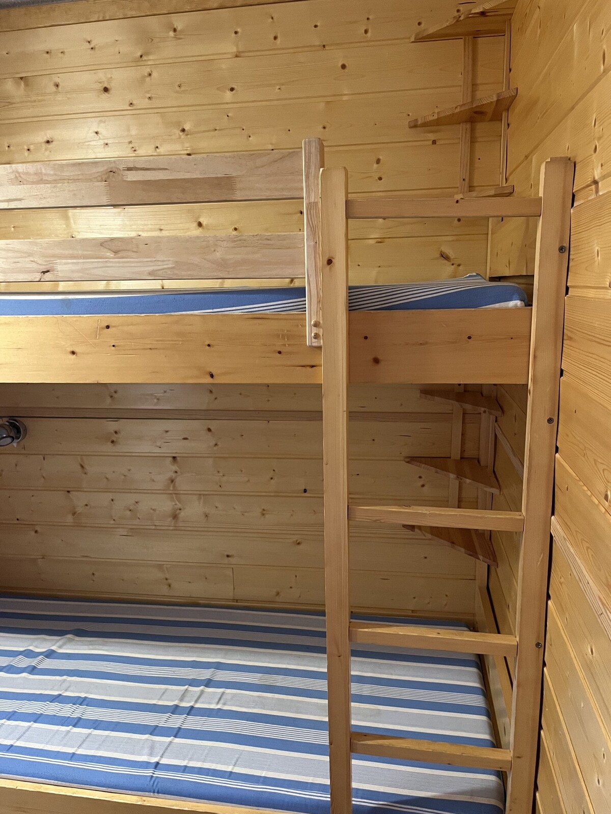 Image de profil de lâhĂŽte