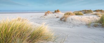 ฟ็อกซ์ โรงแรม เดอะ ฮาก เชเวนิเงิน