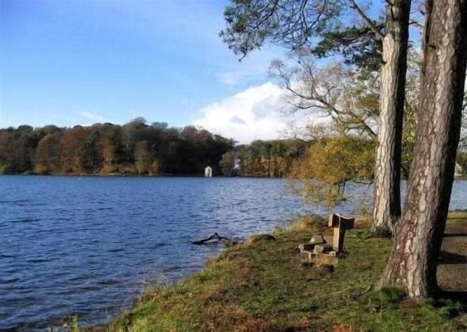 Een rustige oever met een houten bankje en een kleine constructie, waarschijnlijk een picknicktafel, dicht bij het water.