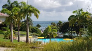 A pool area with clear views of the ocean, surrounded by palm trees and greenery. - Appartement vue mer (LE HELLEUX - SAINTE ANNE)