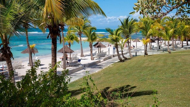 A beach with palm trees, lounge chairs, and umbrellas. - Appartement vue mer (LE HELLEUX - SAINTE ANNE)