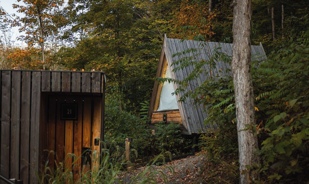 Un rustico chalet con facciata in legno e tetto spiovente, immerso in una fitta foresta.
