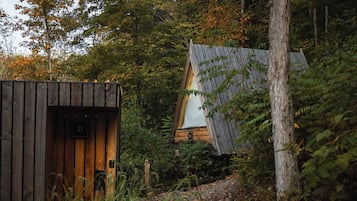 Un rustico chalet con facciata in legno e tetto spiovente, immerso in una fitta foresta.