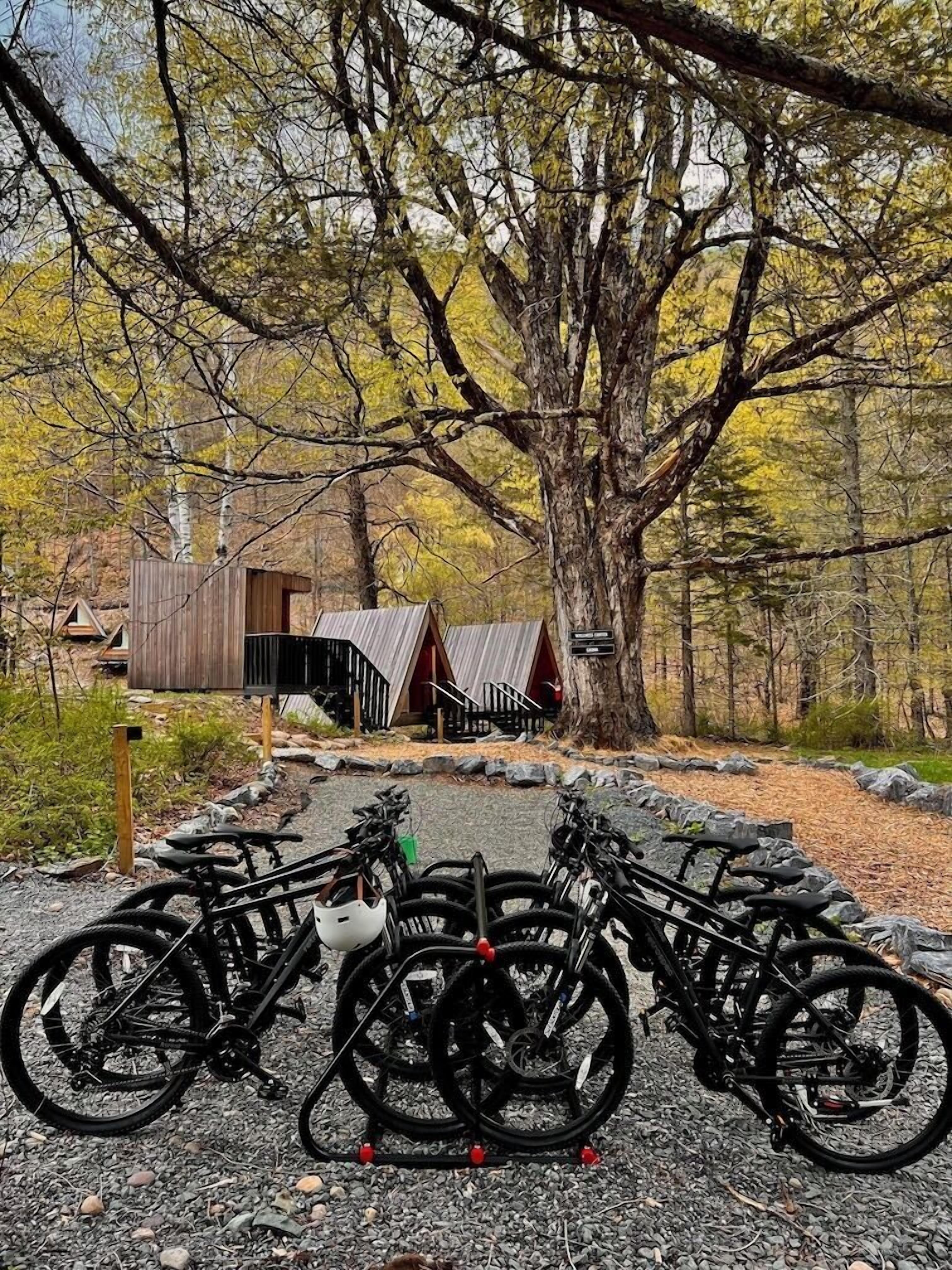 Un rustico chalet con un vialetto sterrato che vi conduce, circondato da alberi.