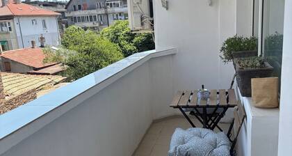 Vacation apartment in the city center