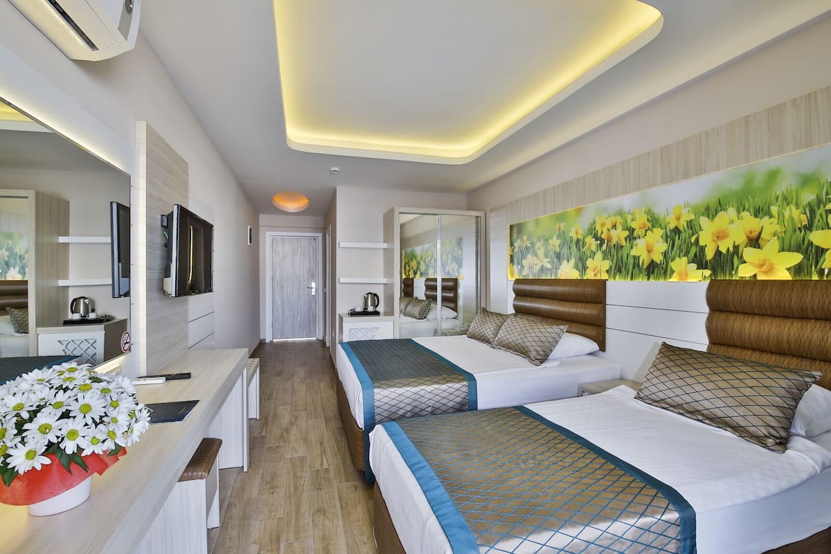 Minibar, desk, WiFi, bed sheets