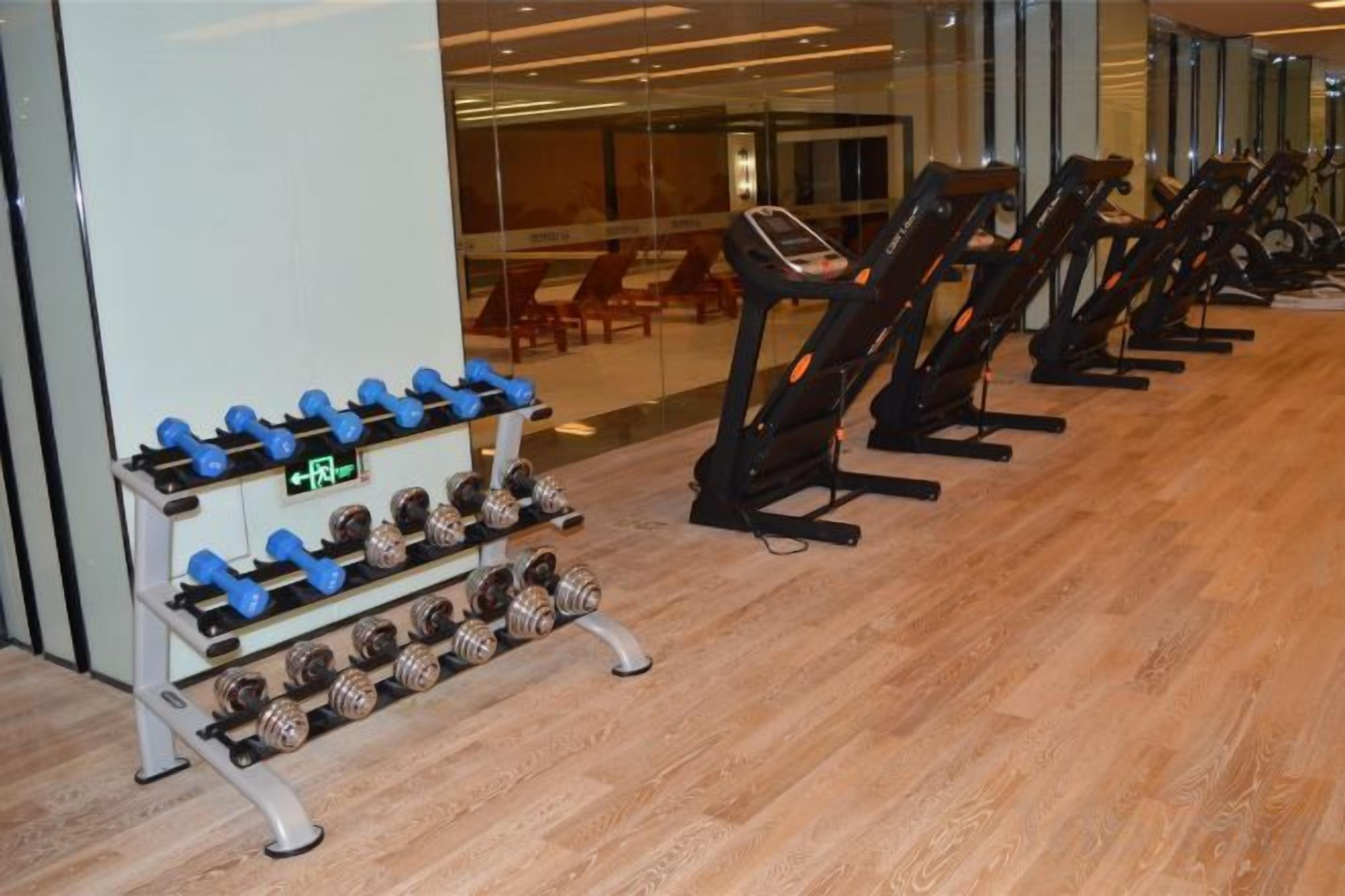 A row of exercise equipment, including treadmills and dumbbells, in a gym area.