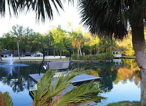 Property grounds - A Serene Cottage Escape on 7 Acres St Augustine (St. Augustine)