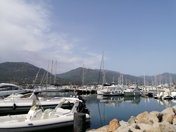 Marina