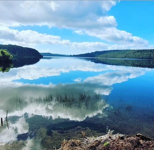 New Mayape Cabin on the Shores of the Lake and Native Forest