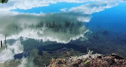 New Mayape Cabin on the Shores of the Lake and Native Forest