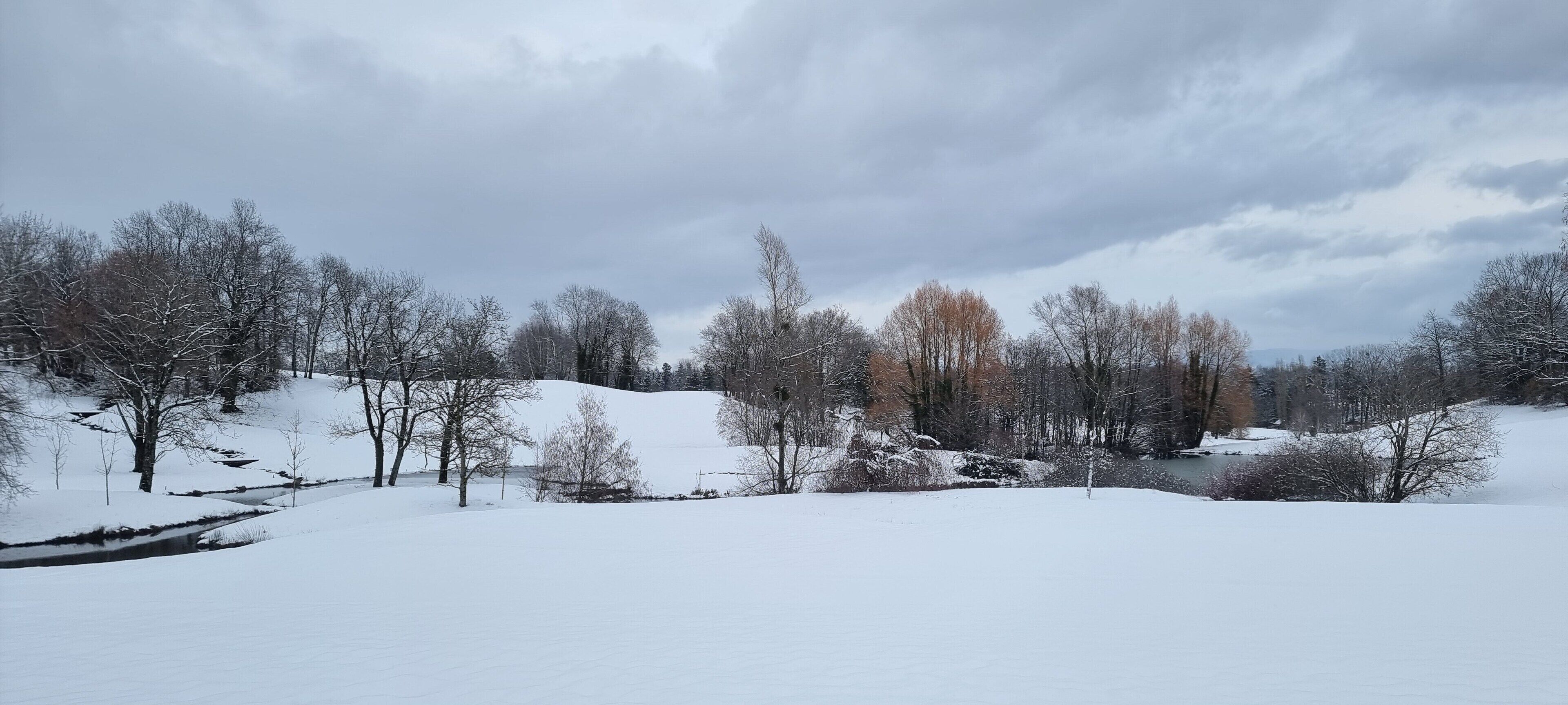 Un paysage enneigé avec des arbres et une colline.