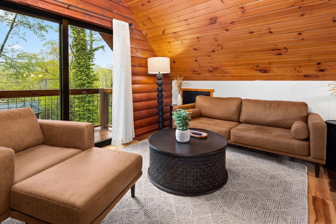 Télévision, cheminée, jeux vidéo, chaîne hi-fi