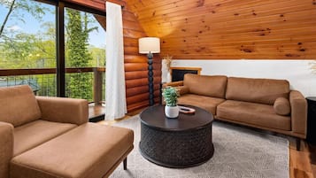 Televisión, chimenea, videojuegos y estéreo