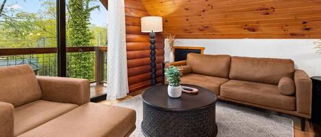 Télévision, cheminée, jeux vidéo, chaîne hi-fi