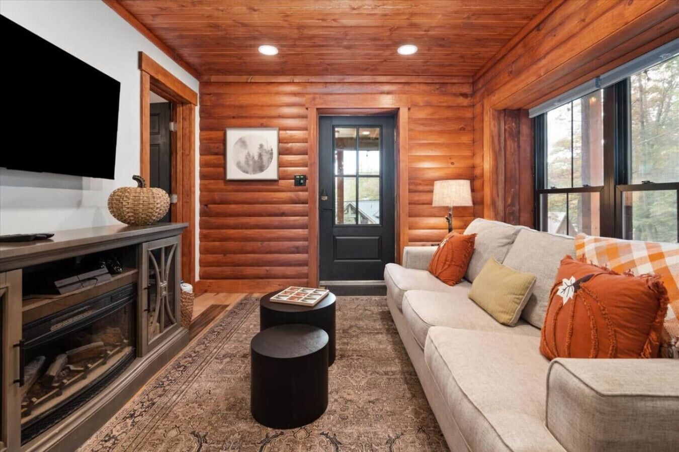 Televisión, chimenea, videojuegos y estéreo 