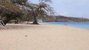 A beach with a large tree, a few people, and a boat in the background. - Beautiful 1-bed Apartment in Saint George's (St. George's)