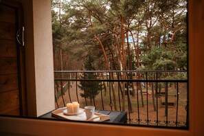 Interior - Apartment in Łukęcin near Baltic Sea (Lukecin)
