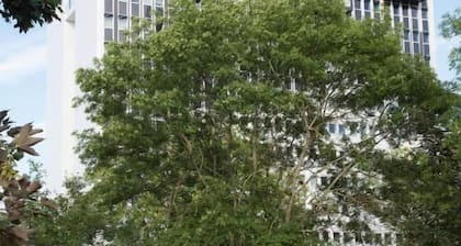 Résidence La Canopée