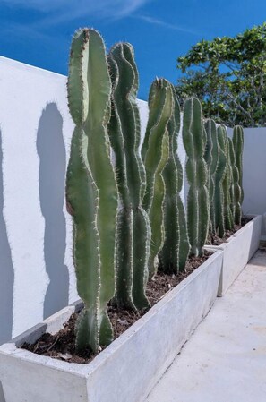 Overnattingsstedets uteområder