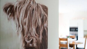 A close-up of a cow's head with a blurred background of a dining area. - Ranch House Cottage · Ranch House Cottage, Inverurie, Aberdeenshire (Aberdeenshire)