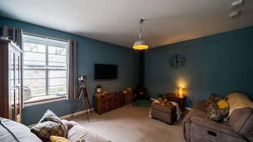 Smart TV, fireplace, books