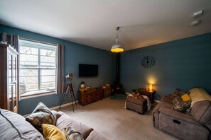 Smart TV, fireplace, books