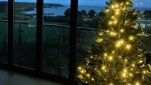A Christmas tree with lights inside a room with large windows overlooking a coastal landscape.