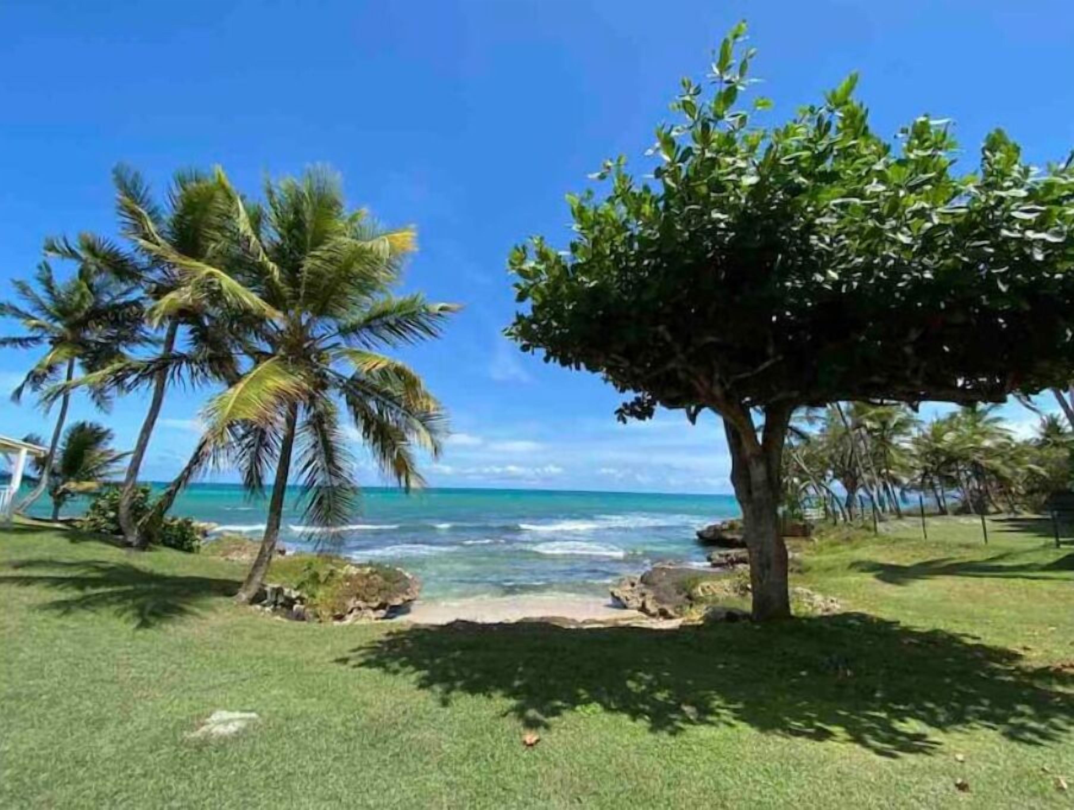On the beach, sun-loungers