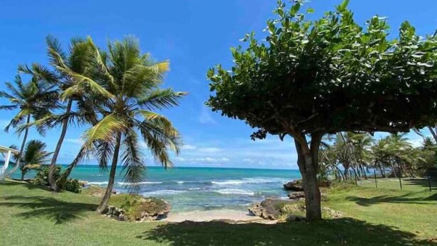 A tropical beach scene with palm trees, a clear blue sky, and a view of the ocean. - Magnificent seaside studio (Gosier)
