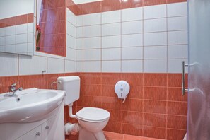 Shower, hair dryer, towels, soap - Economy double or twin room (Pula)