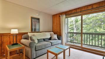 Televisión, chimenea y videoteca