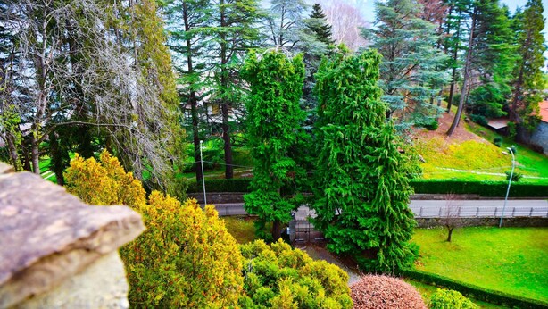 A landscaped garden with various trees and shrubs, a paved pathway, and a fence. - Casa Claudia by Wonderful Italy (Bellagio)