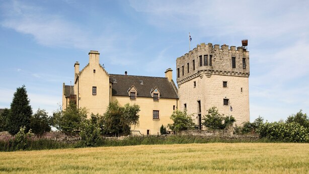 A castle with a large tower and a main building, surrounded by a field. - The Manor at Plane Castle - Sleeps 8 - Pets Ok (Falkirk)