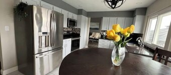 Litter Village Strip