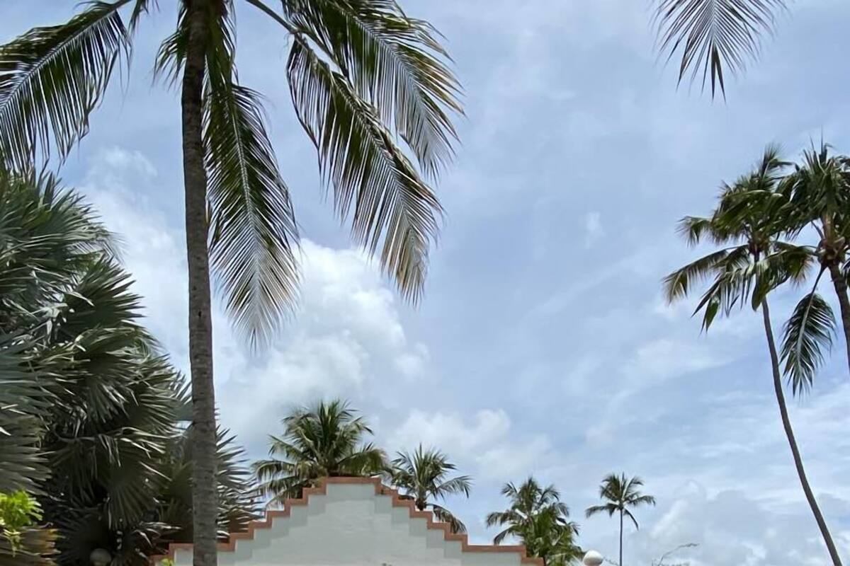 Un bâtiment doté d’une piscine, entouré de palmiers et de verdure.