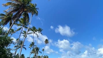 Na praia, areia branca