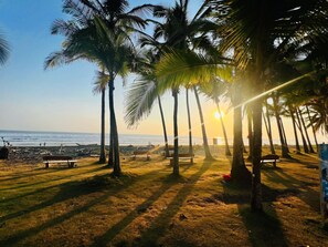 Sun-loungers, beach towels