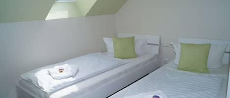 A small, clean room with two single beds, each with white linens and green pillows. A skylight provides natural light.